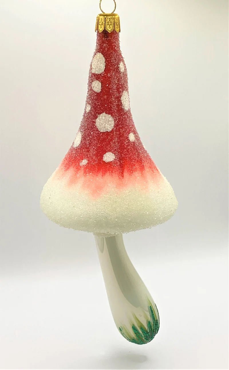 Grosser schmaler Fliegenpilz