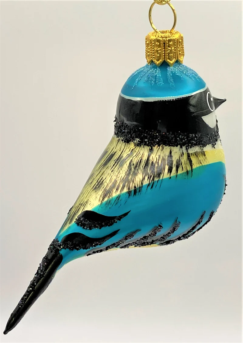 Kleine Blaumeise