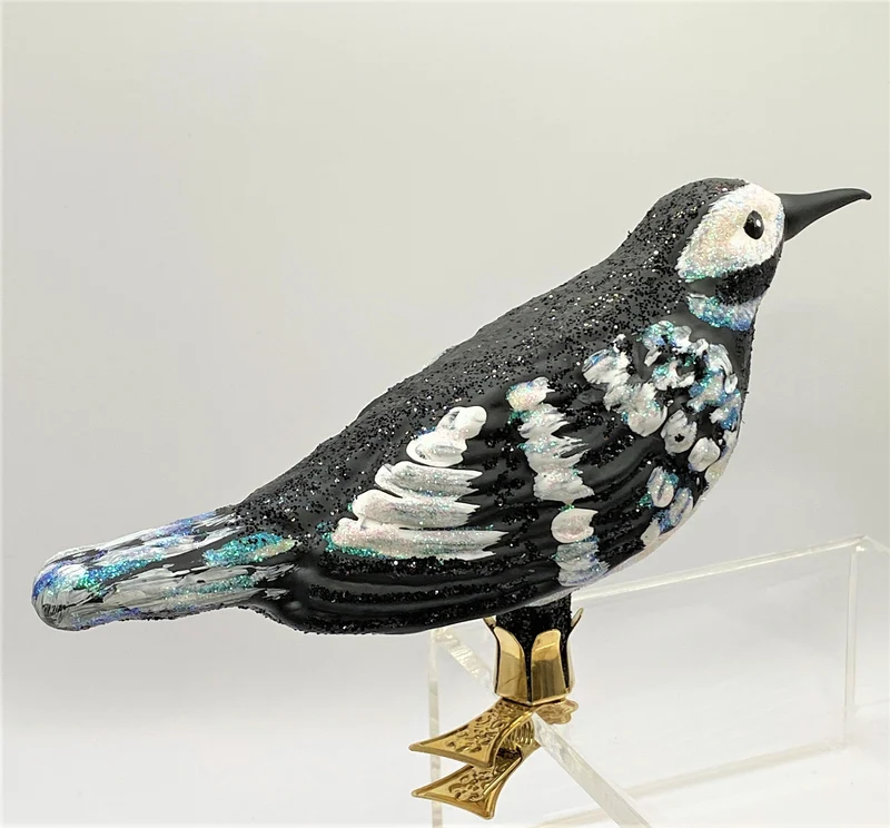 Schwarz weisser Vogel auf Clip
