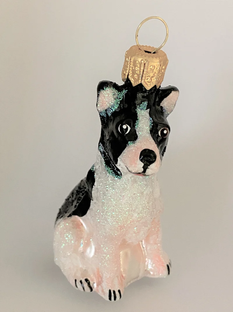 Kleiner schwarz weisser Mischlingshund