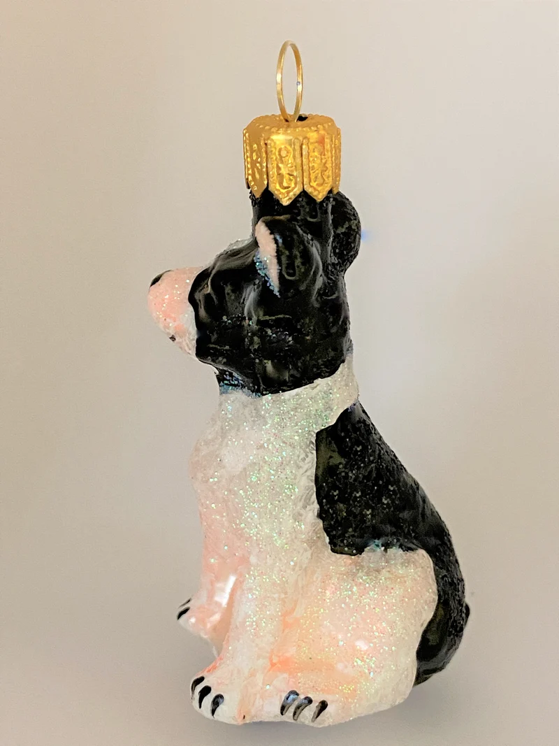 Kleiner schwarz weisser Mischlingshund