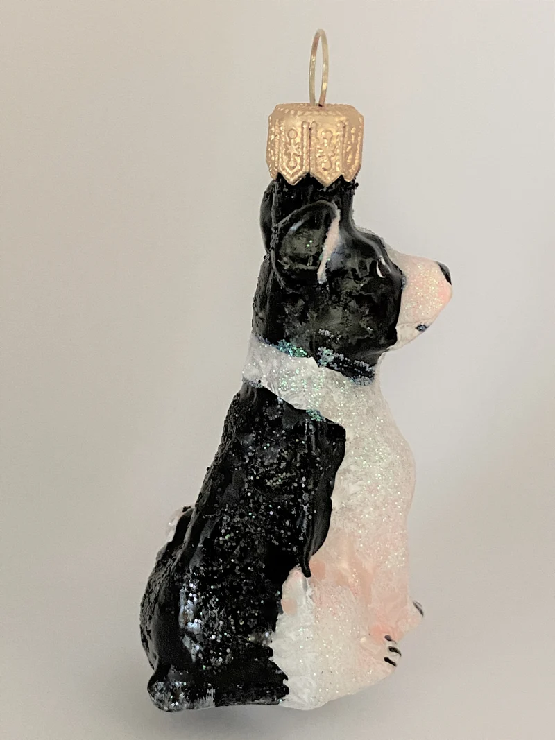 Kleiner schwarz weisser Mischlingshund