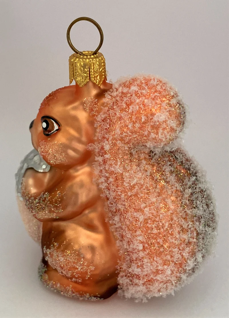 Rostrotes Eichhörnchen