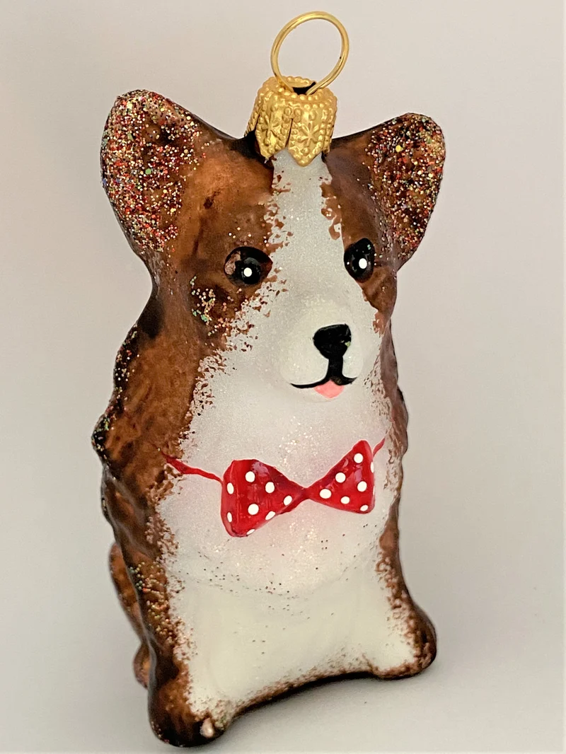 Sitzender Corgi mit roter Fliege
