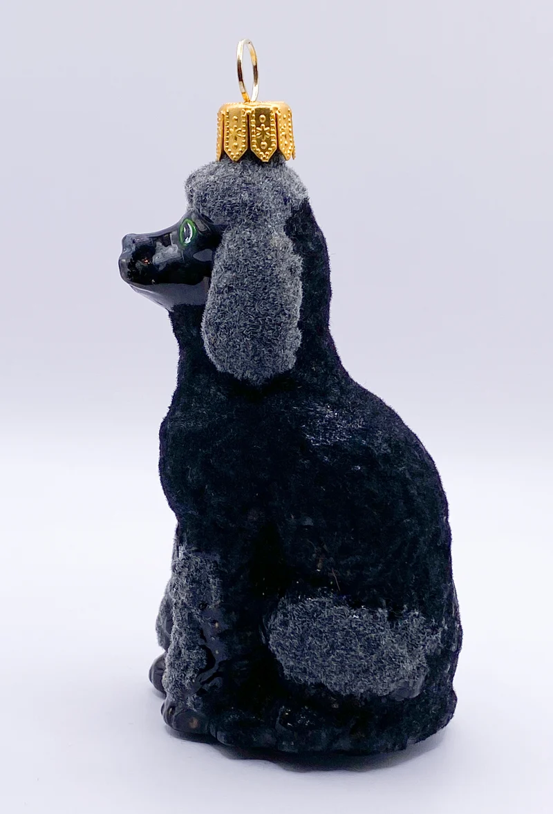 Sitzender schwarzer Pudel
