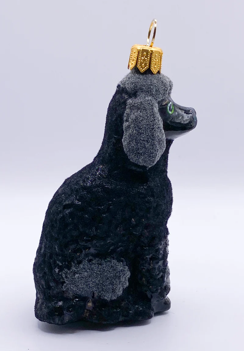 Sitzender schwarzer Pudel