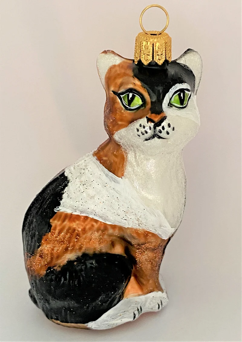 Aufrecht sitzende Drei-Farben-Katze