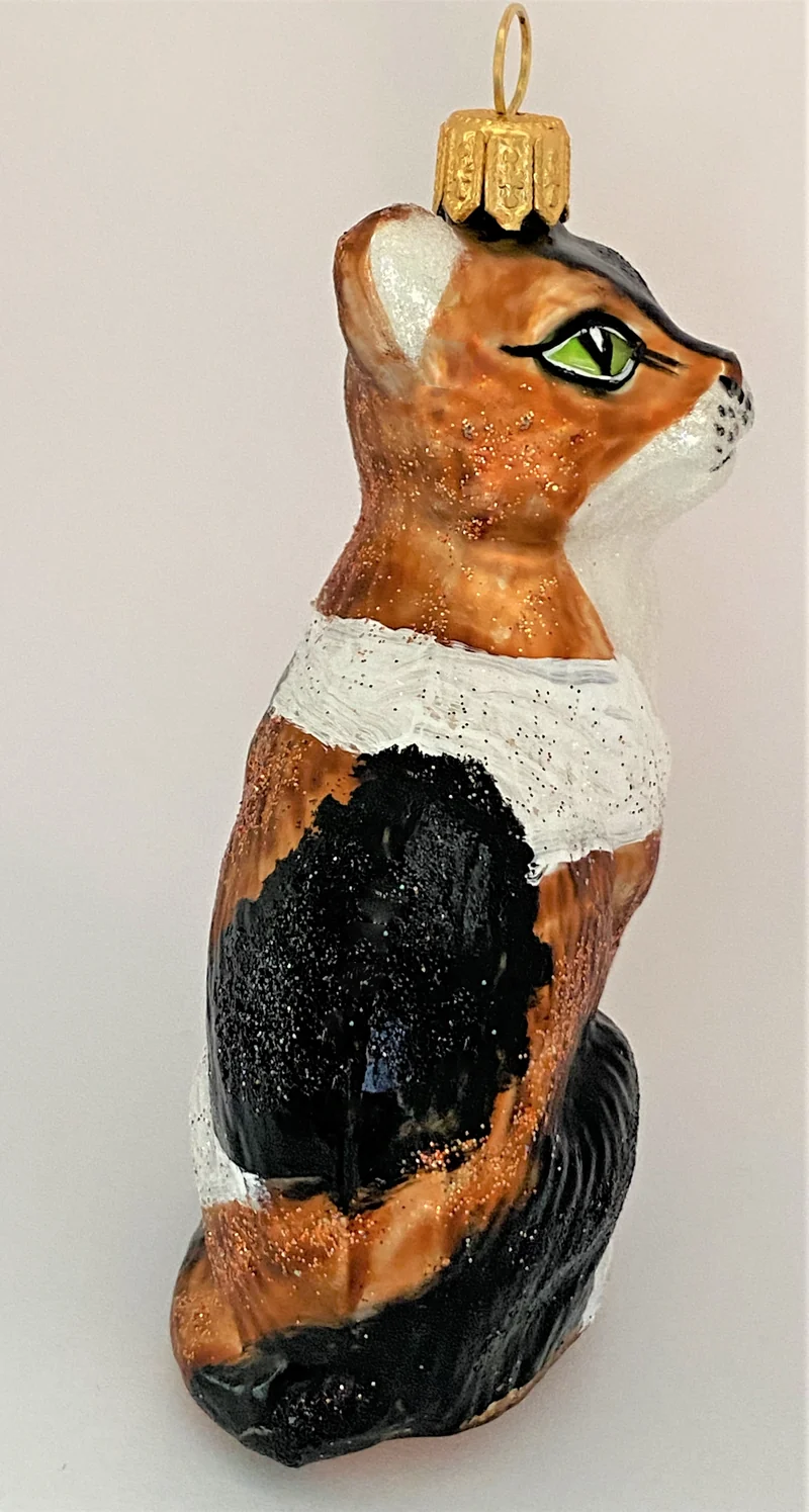Aufrecht sitzende Drei-Farben-Katze