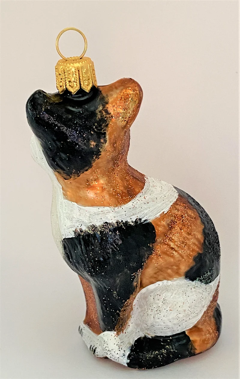 Aufrecht sitzende Drei-Farben-Katze