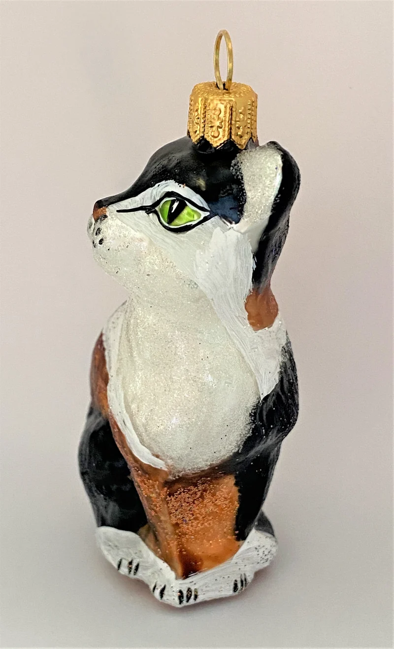 Aufrecht sitzende Drei-Farben-Katze