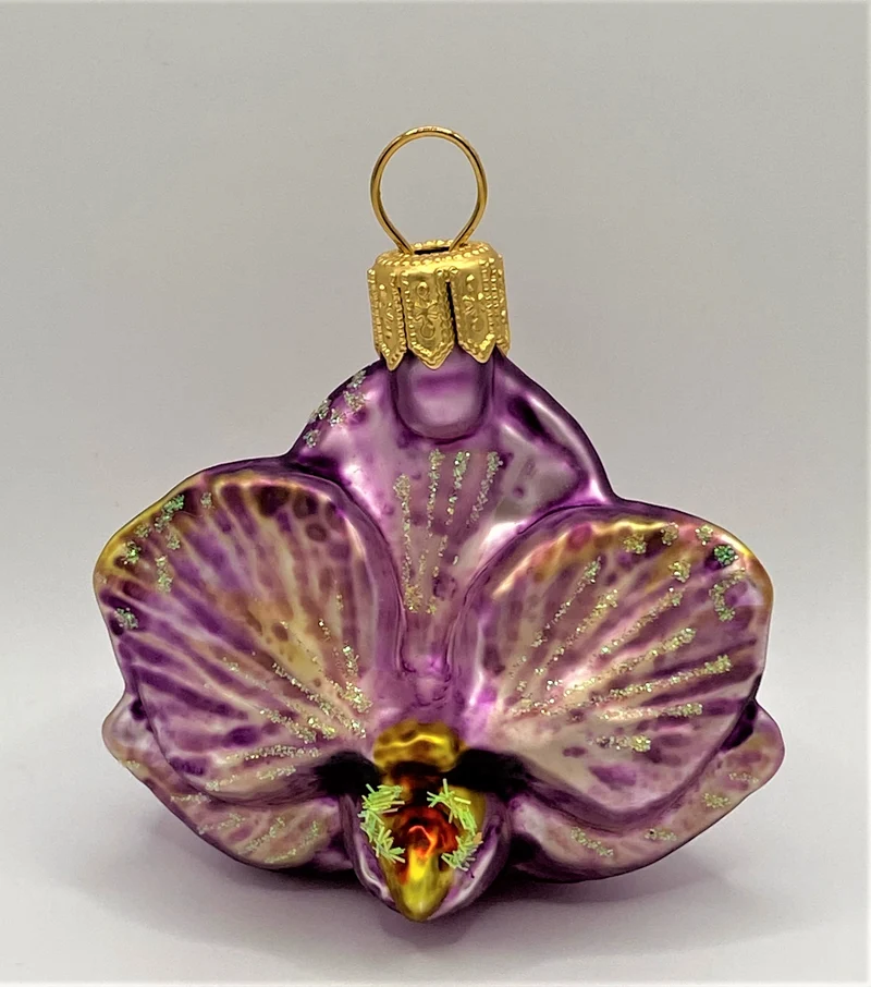 Phalaenopsis violett, klein