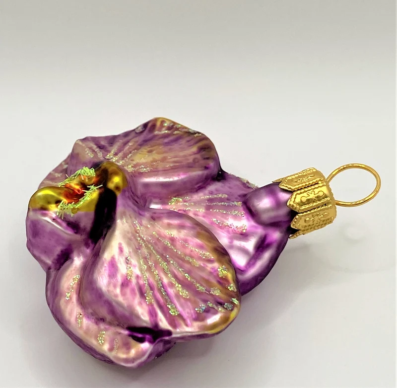 Phalaenopsis violett, klein