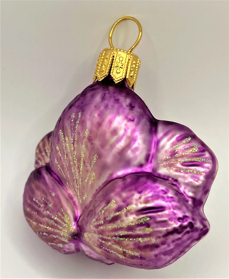 Phalaenopsis violett, klein