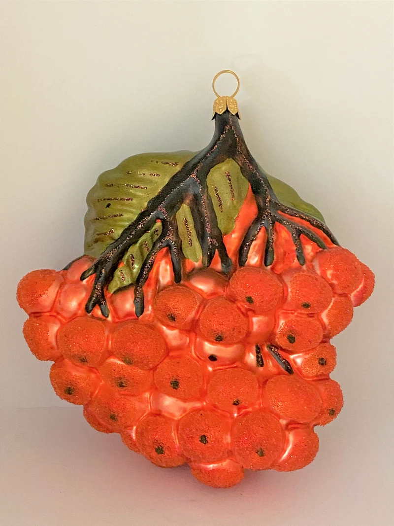Vogelbeeren am Zweig