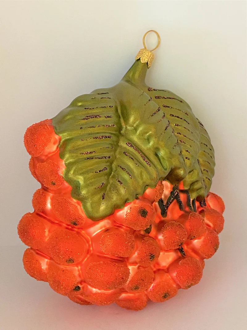 Vogelbeeren am Zweig