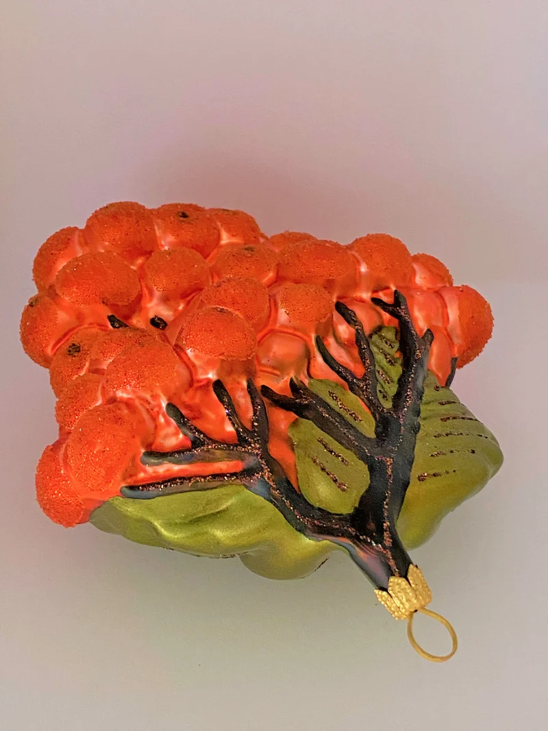 Vogelbeeren am Zweig