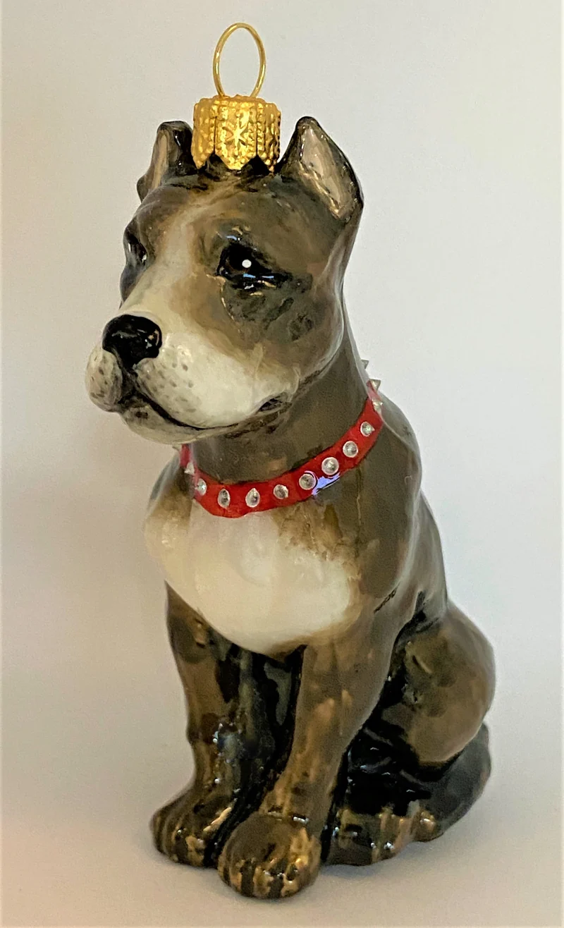 Grauer American Staffordshire Terrier, KOMOZJA MOSTOWSKI