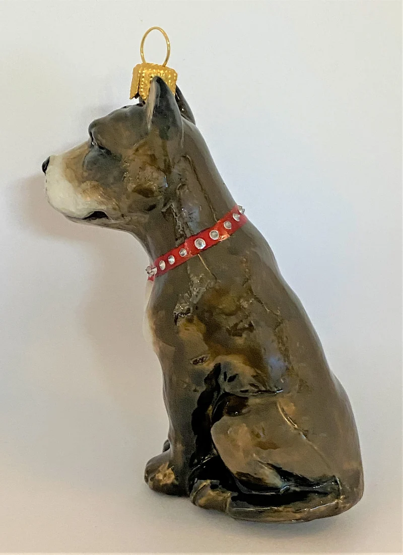 Grauer American Staffordshire Terrier, KOMOZJA MOSTOWSKI
