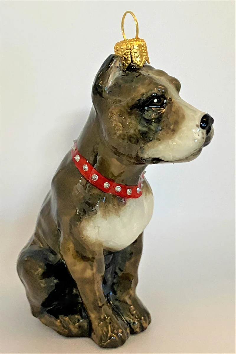 Grauer American Staffordshire Terrier, KOMOZJA MOSTOWSKI