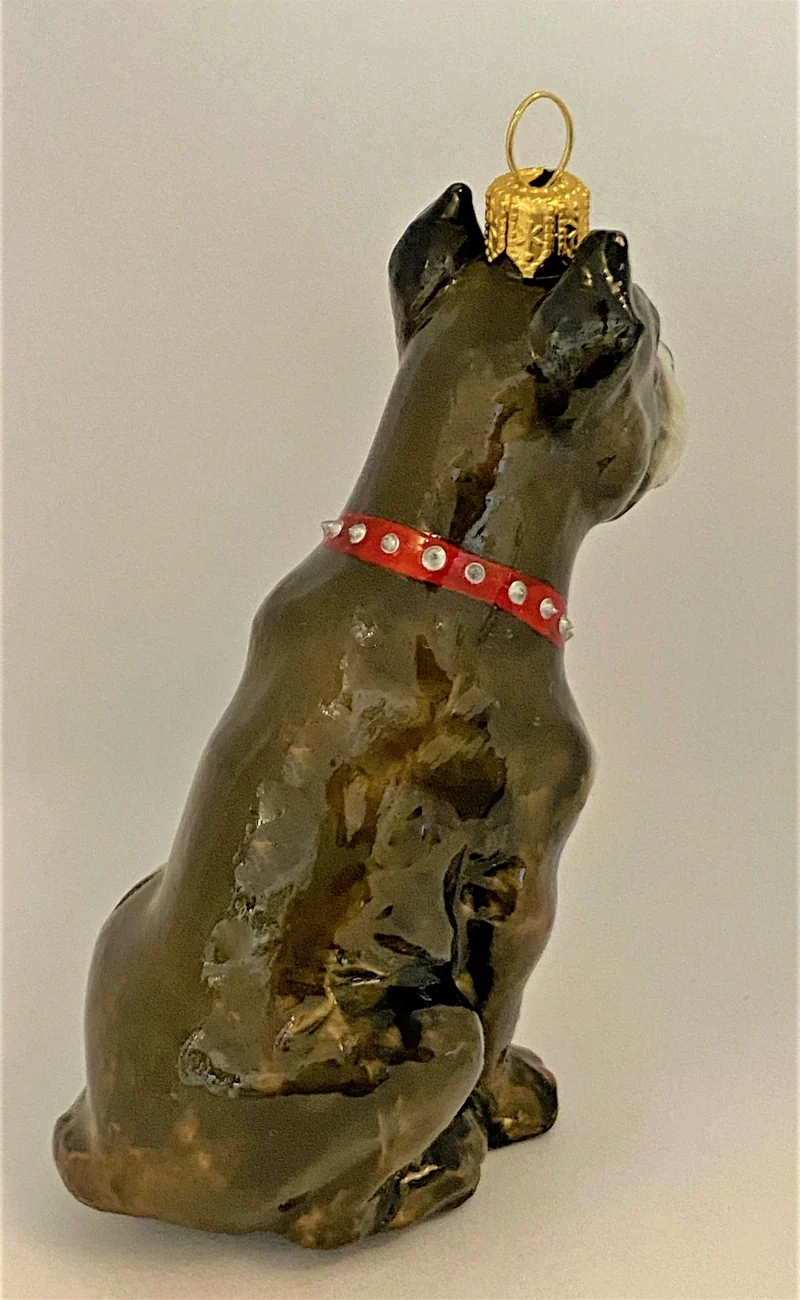 Grauer American Staffordshire Terrier, KOMOZJA MOSTOWSKI