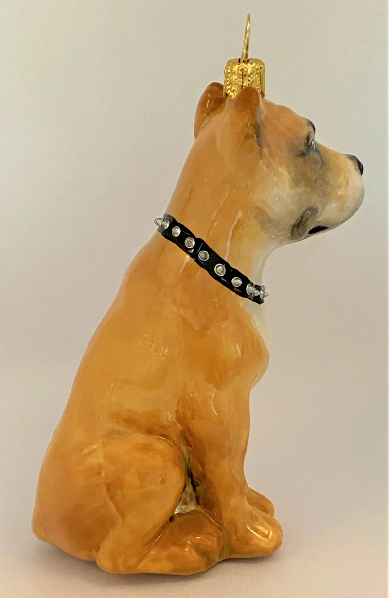 Brauner American Staffordshire Terrier, KOMOZJA MOSTOWSKI