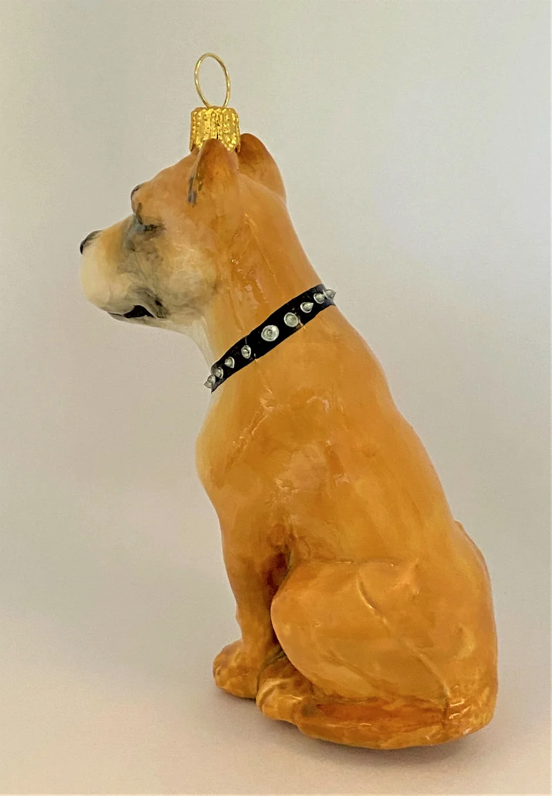 Brauner American Staffordshire Terrier, KOMOZJA MOSTOWSKI