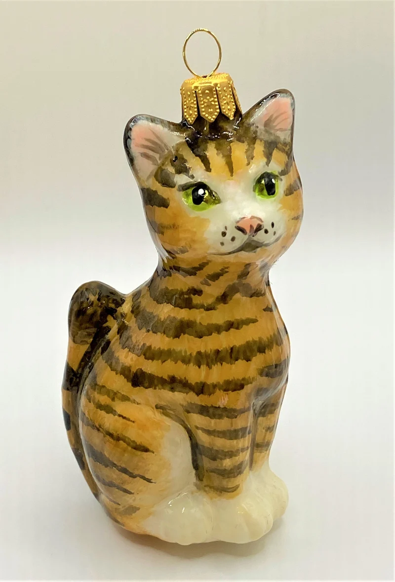 Braune Tigerkatze mit grünen Augen, KOMOZJA MOSTOWSKI