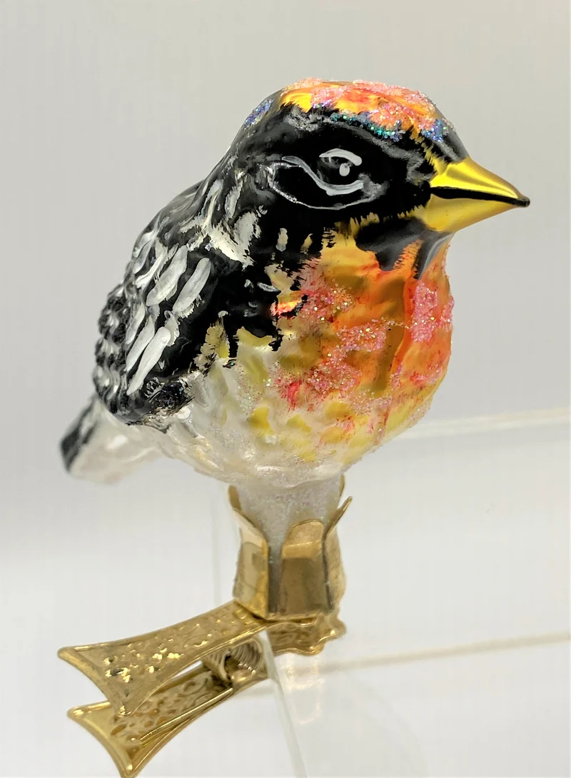 Vogel mit oranger Kehle auf Clip