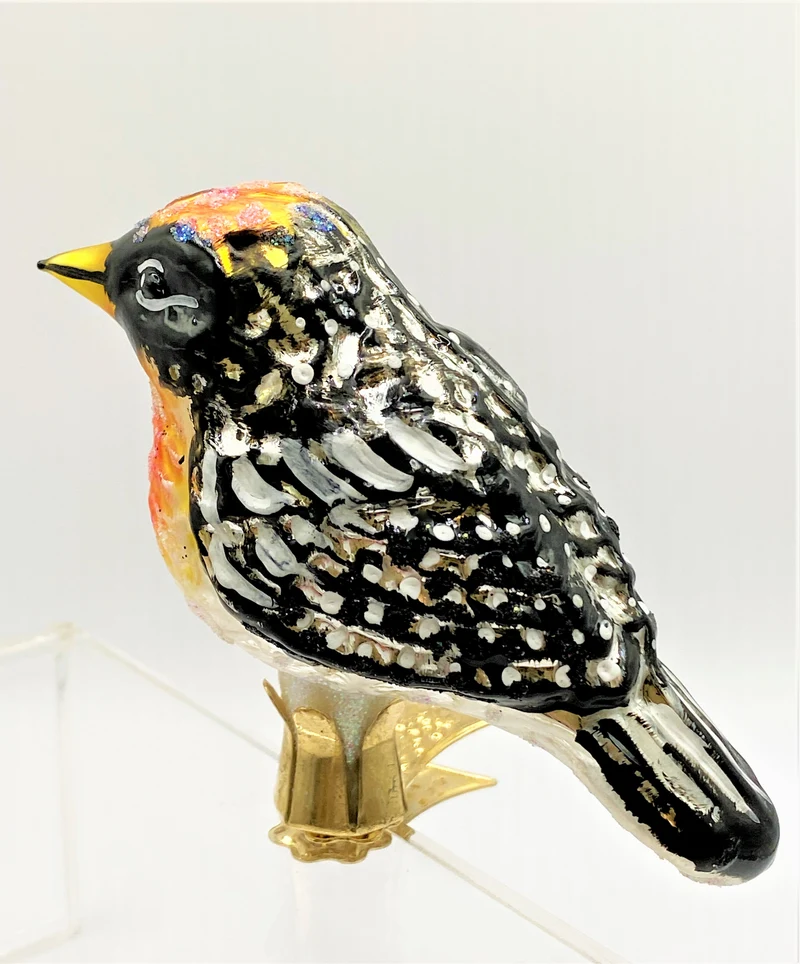 Vogel mit oranger Kehle auf Clip