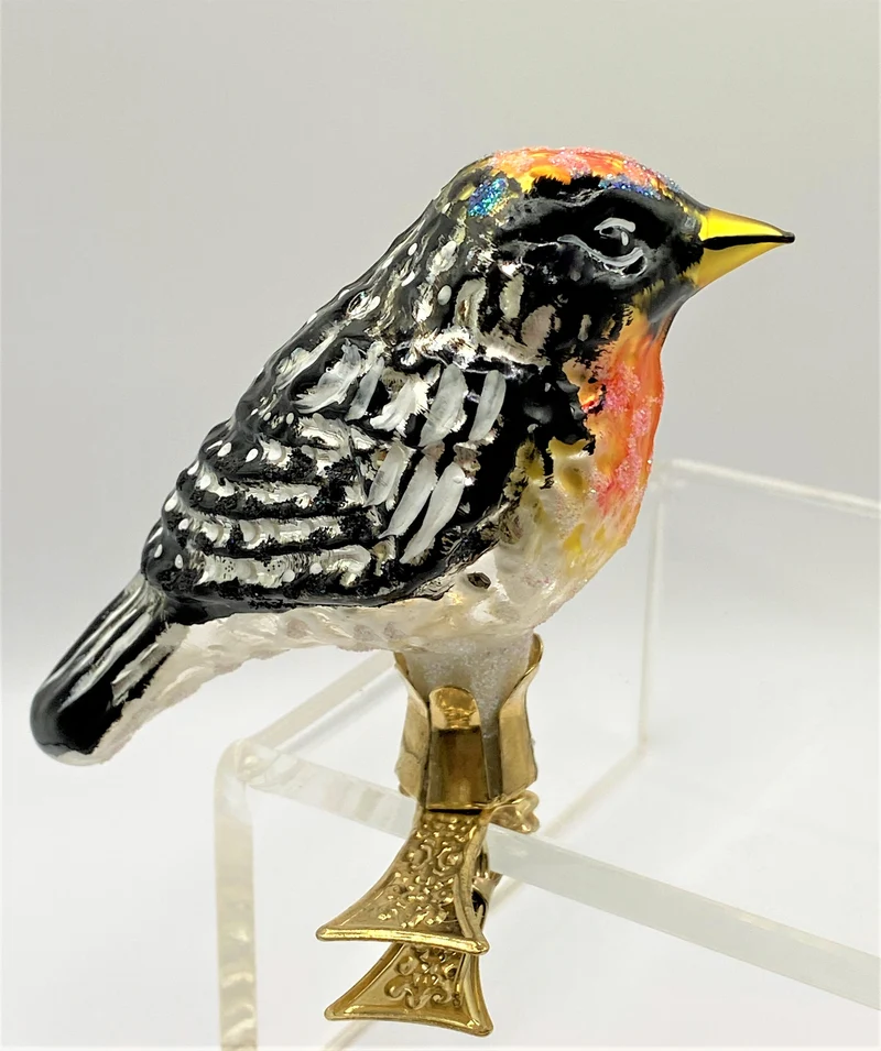 Vogel mit oranger Kehle auf Clip