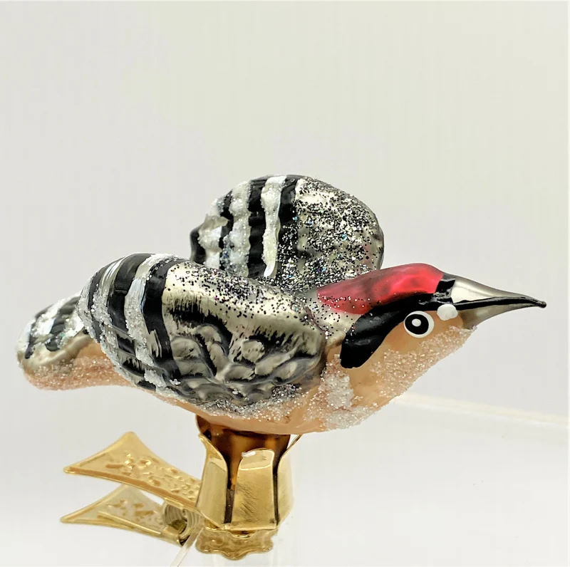 Fliegender Buntspecht, Specht
