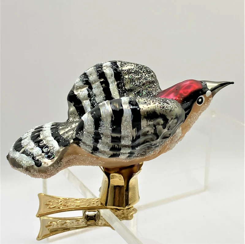 Fliegender Buntspecht, Specht