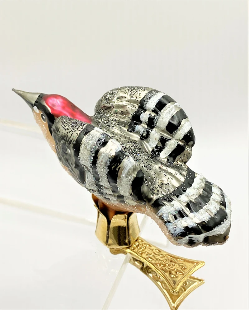 Fliegender Buntspecht, Specht