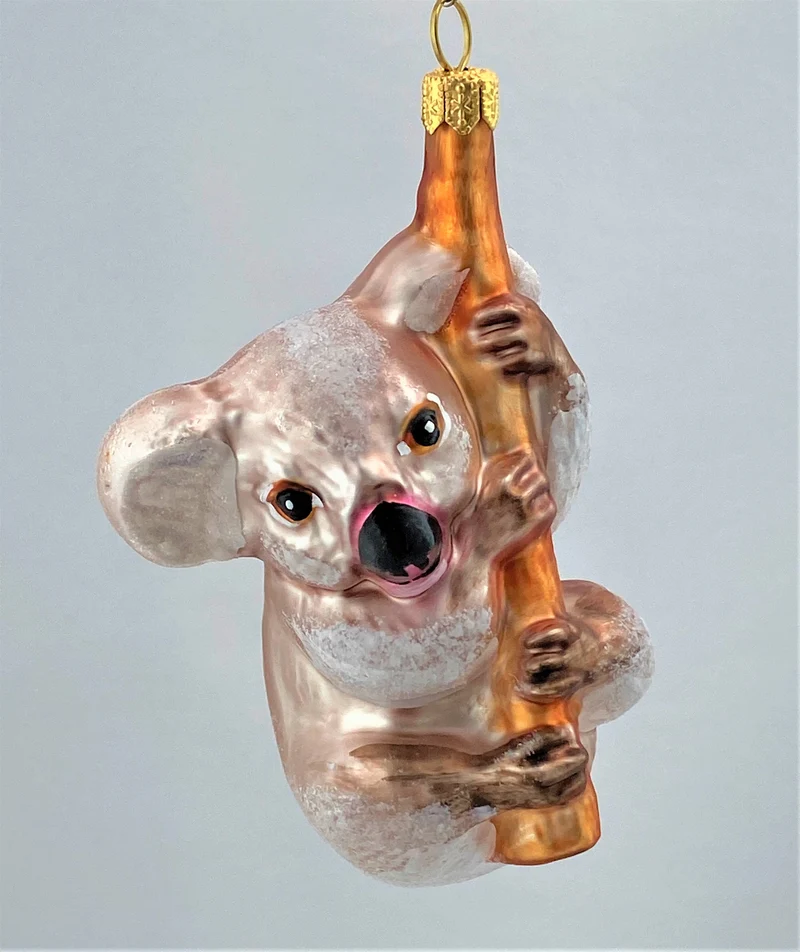 Flauschig brauner Koala-Bär klettert am Ast