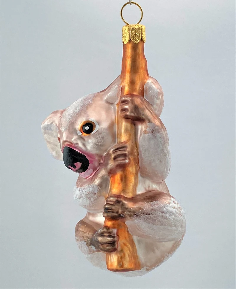 Flauschig brauner Koala-Bär klettert am Ast