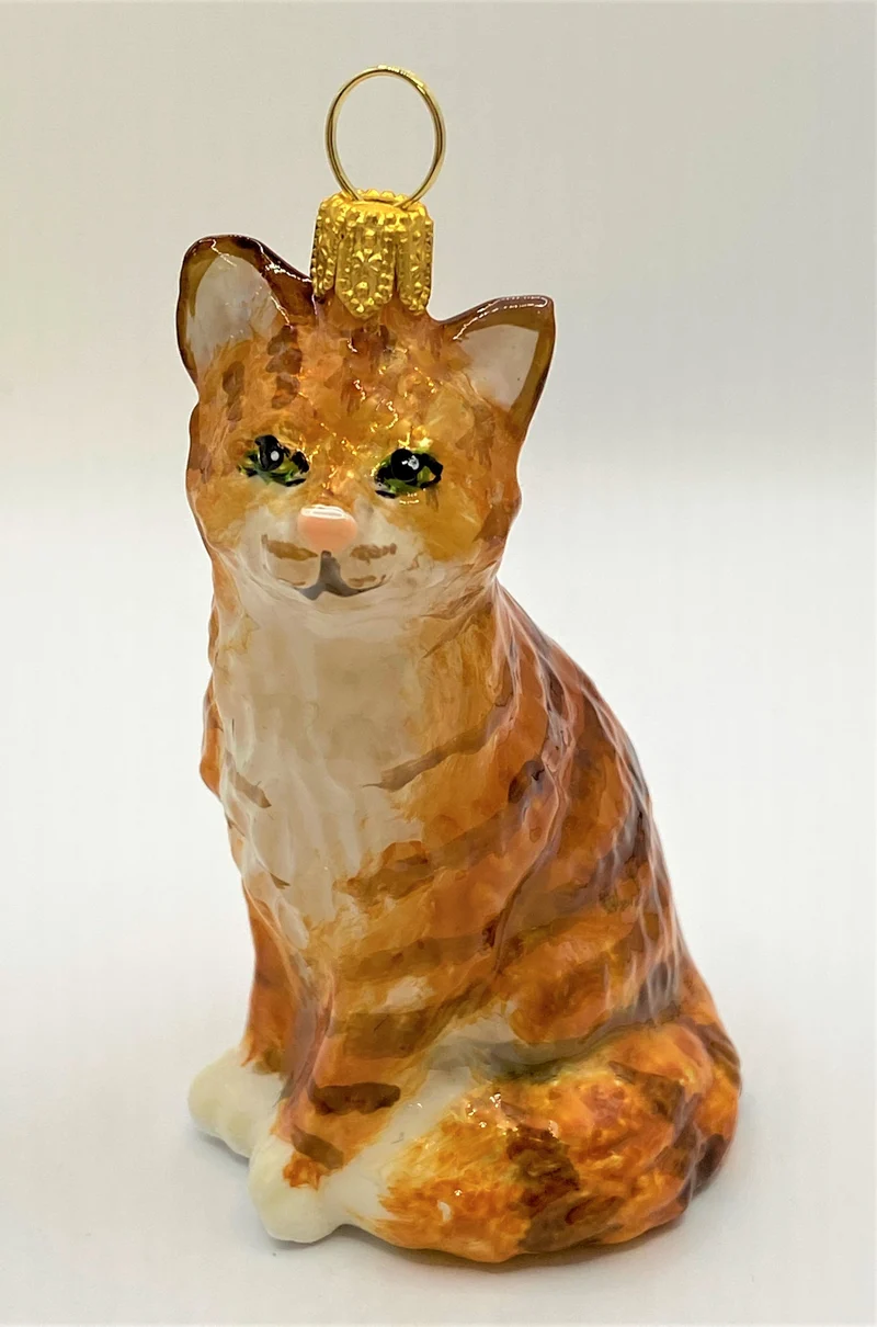 Rote Tigerkatze, American Shorthair, KOMOZJA MOSTOWSKI