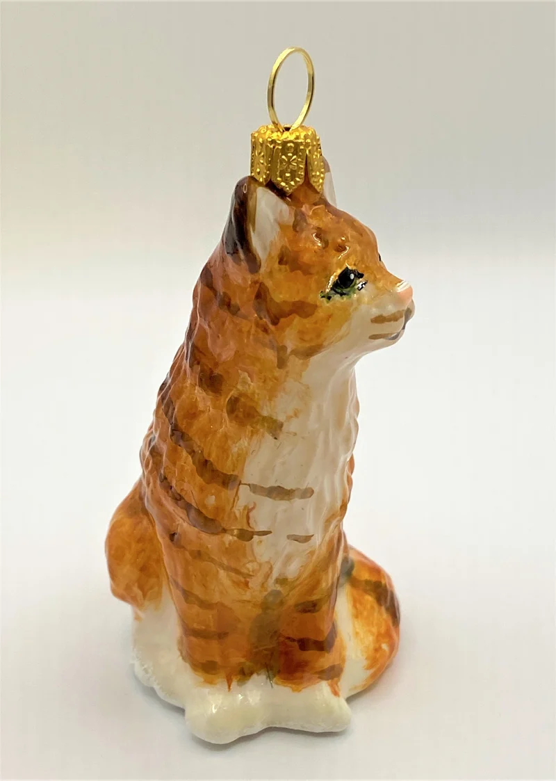 Rote Tigerkatze, American Shorthair, KOMOZJA MOSTOWSKI