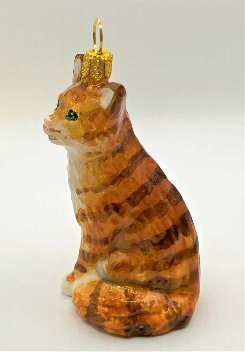 Rote Tigerkatze, American Shorthair, KOMOZJA MOSTOWSKI