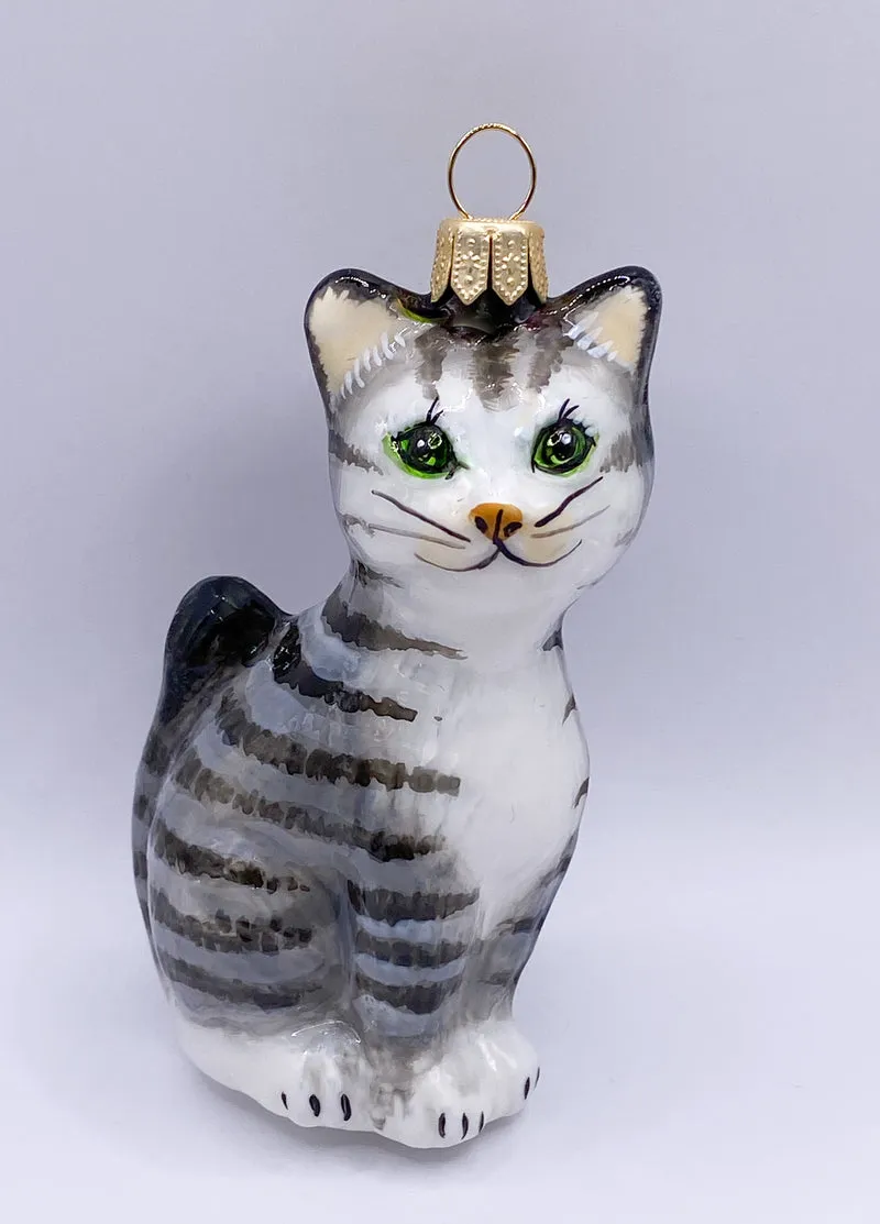 Graue Tigerkatze mit weissem Bauch, KOMOZJA MOSTOWSKI