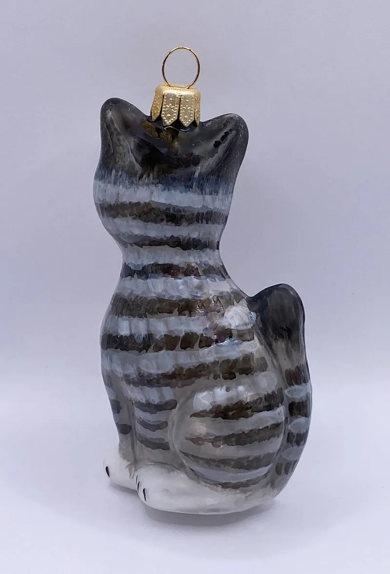 Graue Tigerkatze mit weissem Bauch, KOMOZJA MOSTOWSKI