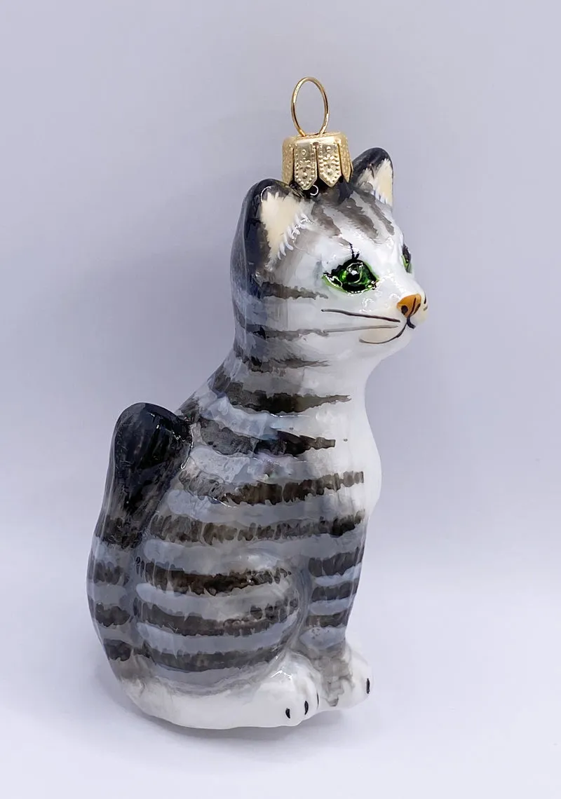 Graue Tigerkatze mit weissem Bauch, KOMOZJA MOSTOWSKI