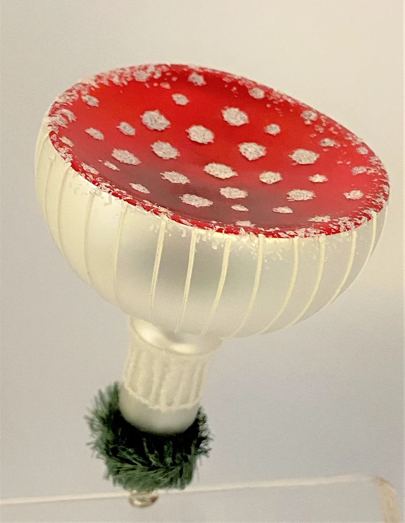 Glücks-Fliegenpilz mit breitem Hut