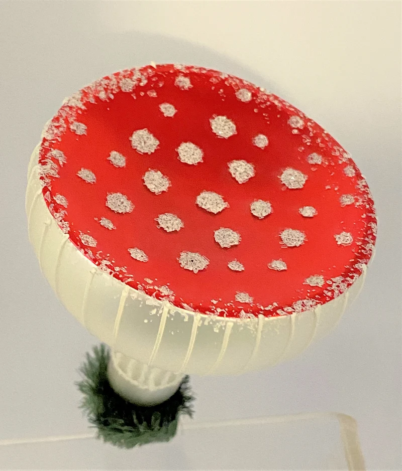 Glücks-Fliegenpilz mit breitem Hut