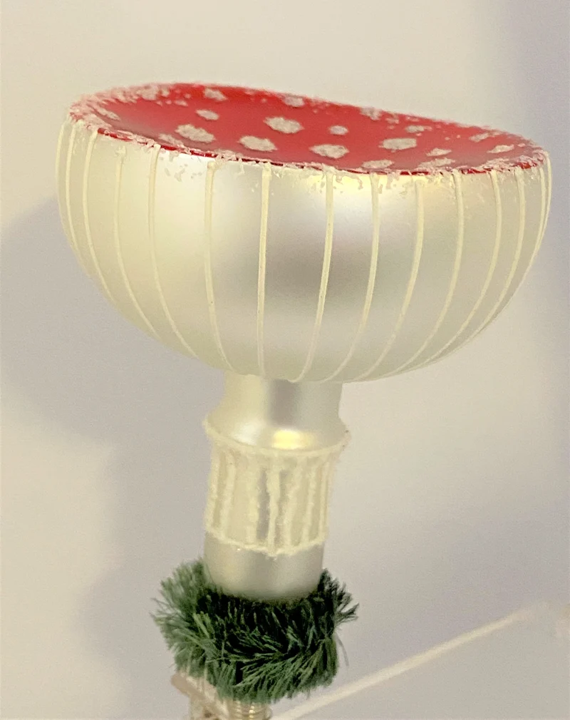 Glücks-Fliegenpilz mit breitem Hut