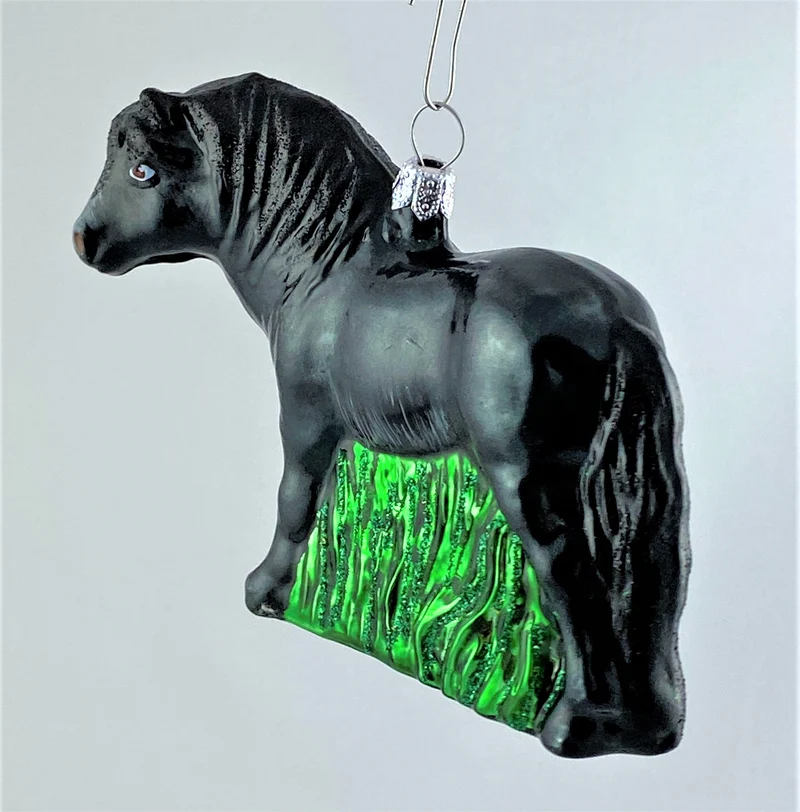 Schwarzes Pferd im Gras