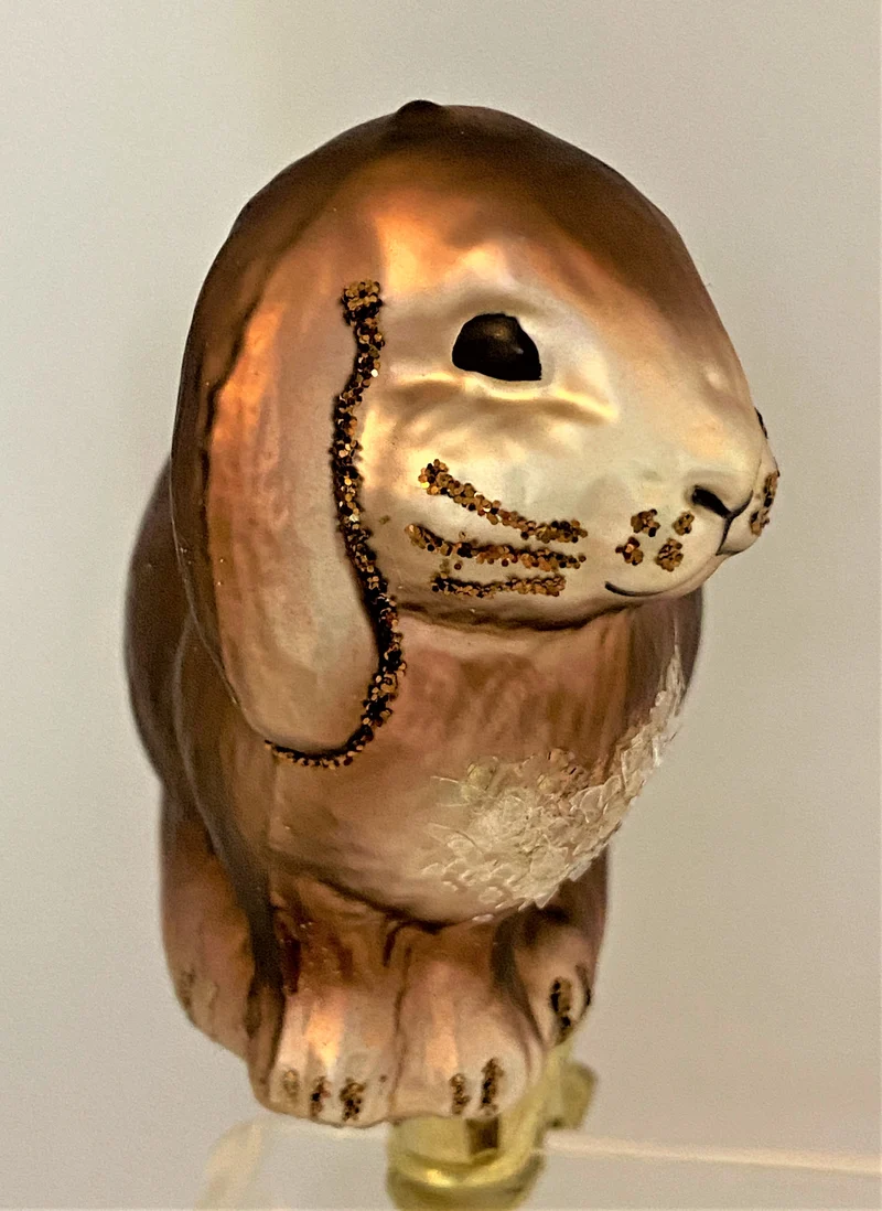 Ruhender Hase auf Clip