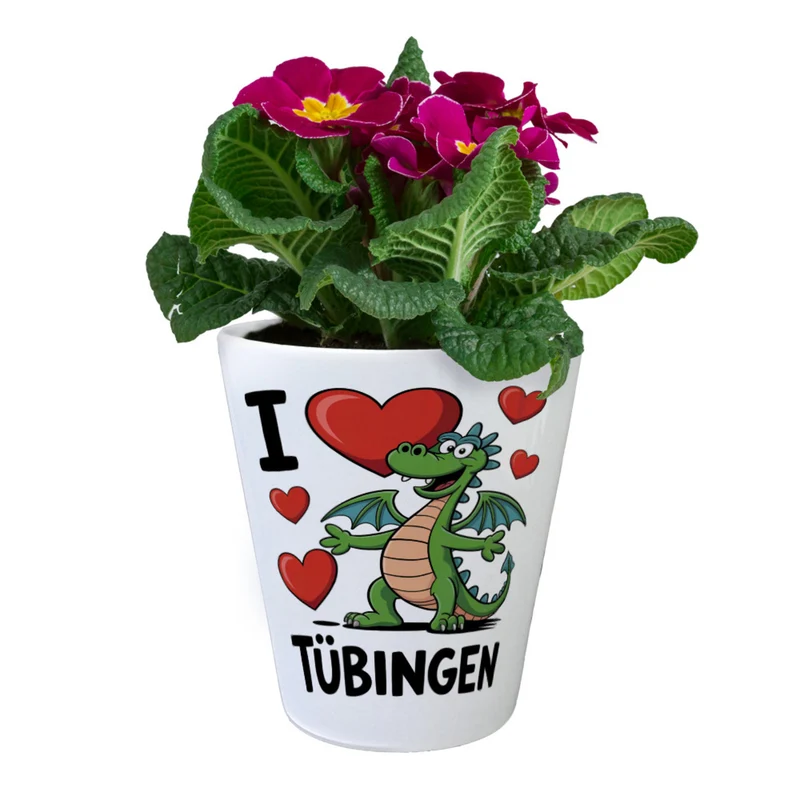 I love Tübingen grüner Drache Blumentopf