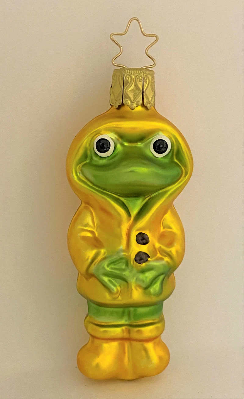 Frosch im Regenmantel