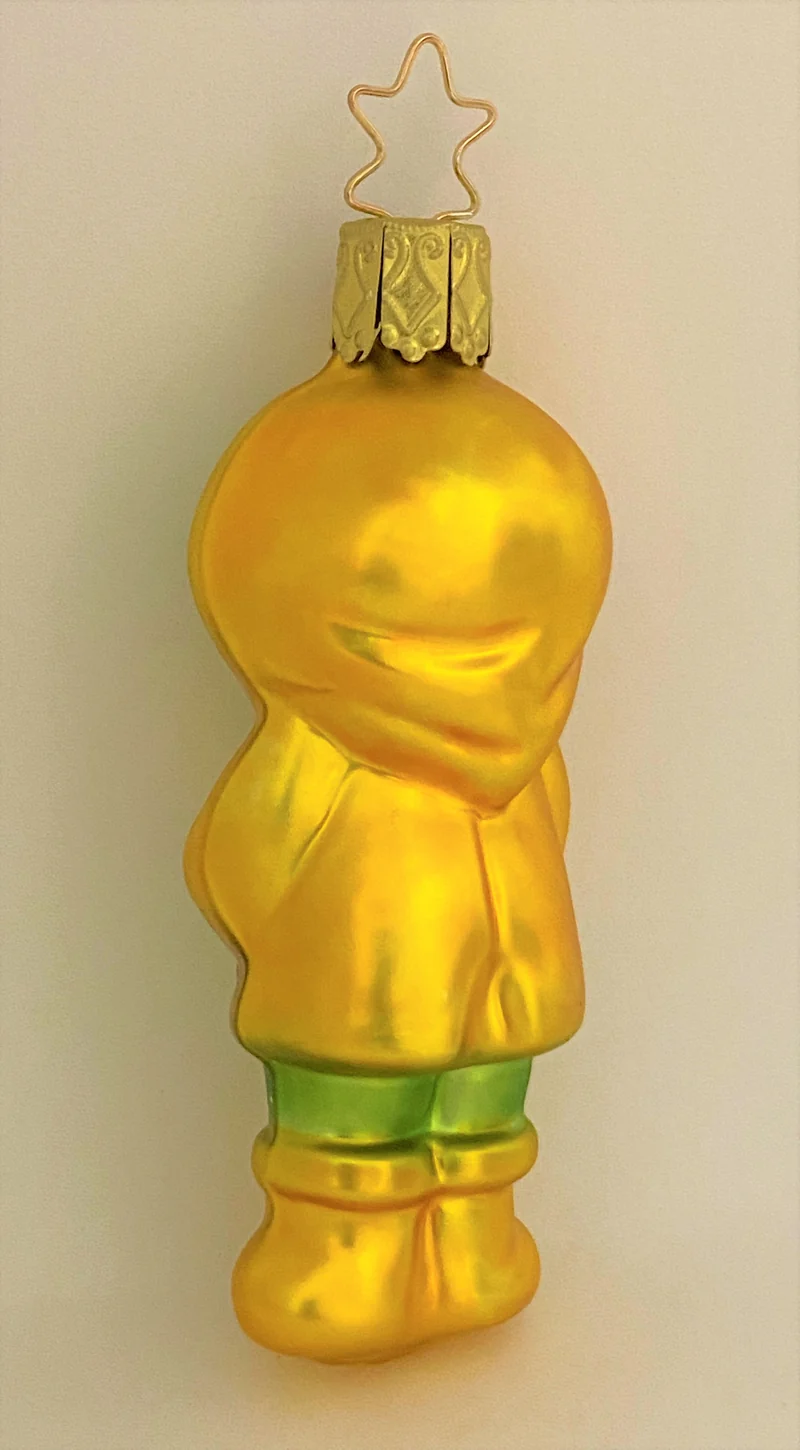 Frosch im Regenmantel