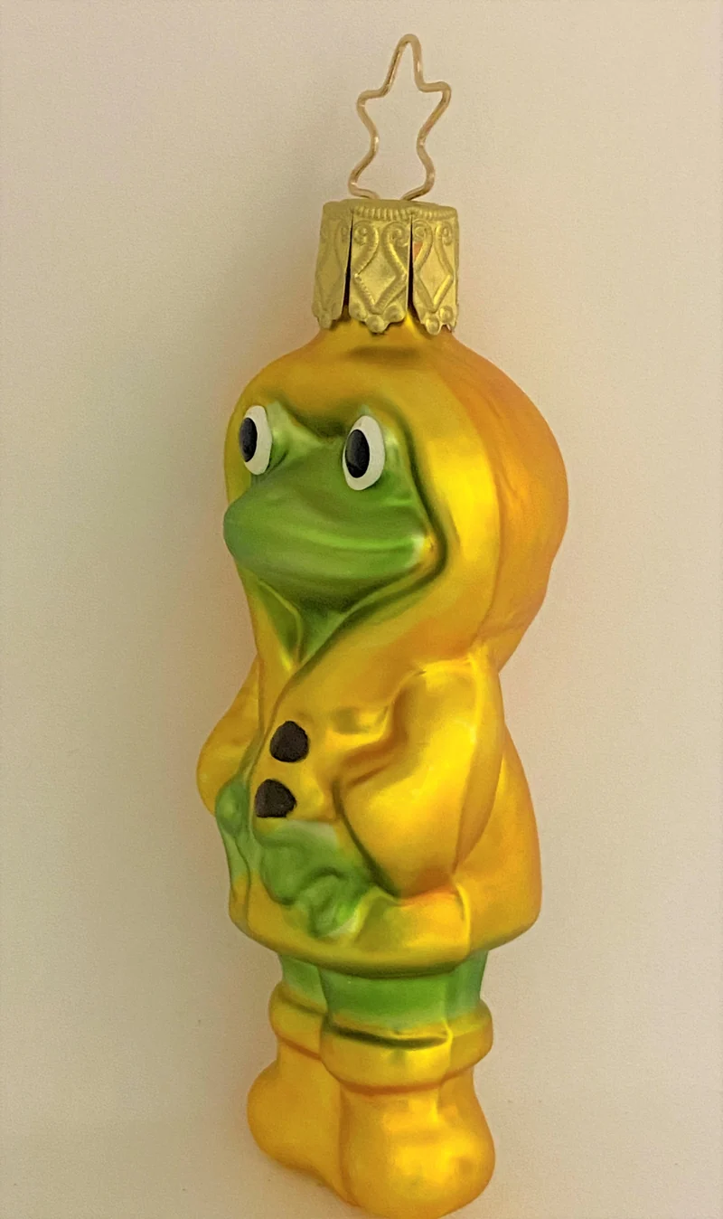 Frosch im Regenmantel